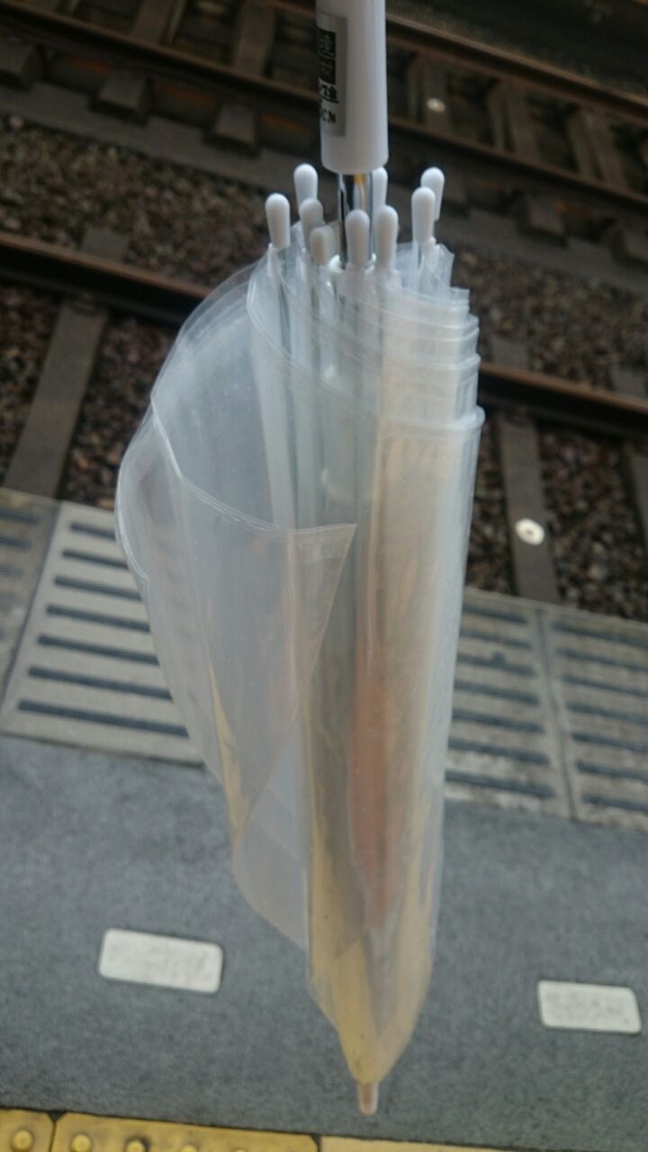 立ち寝という技術 ひかるさんのところ