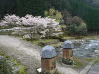 DSCF0794