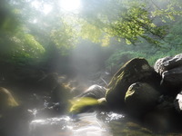 DSCF1615
