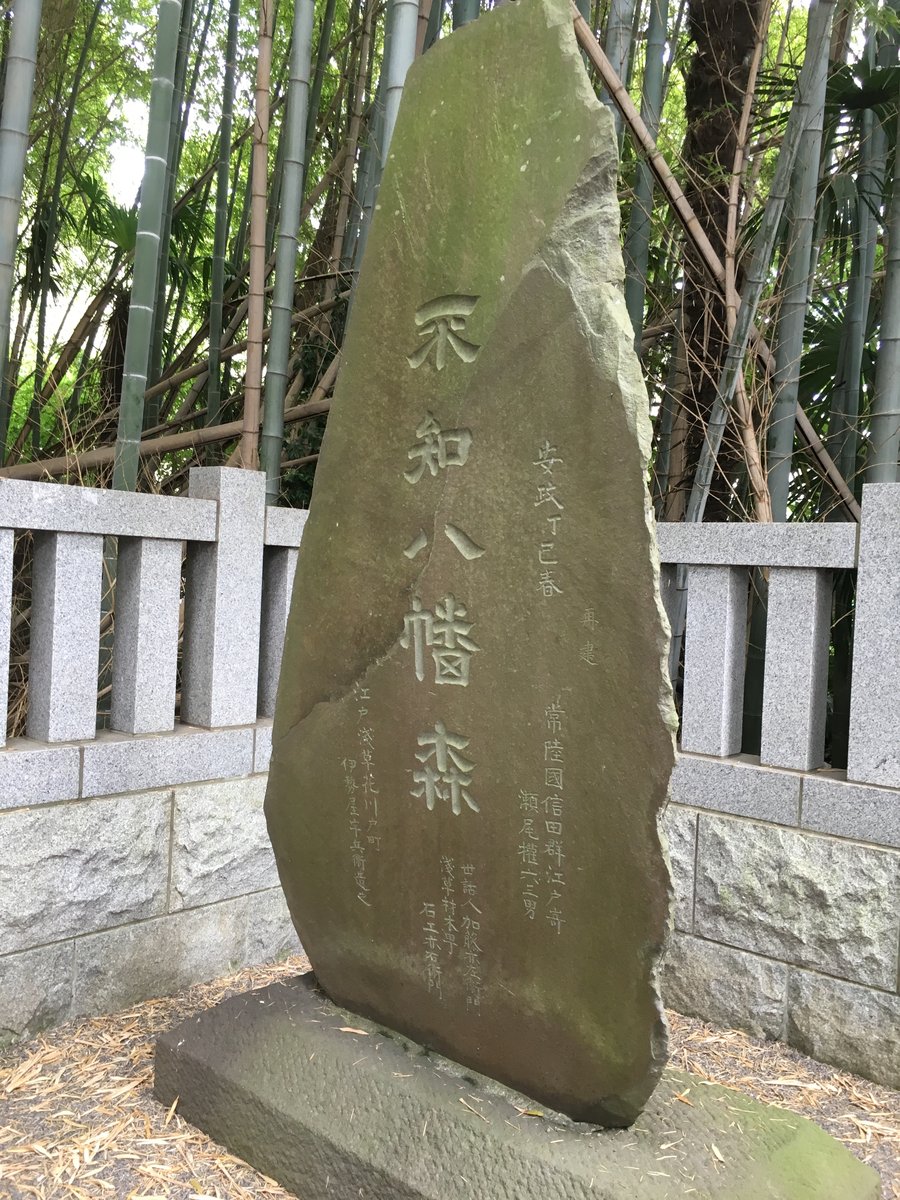 都会の中の異空間 千葉県 八幡の藪知らずに行ってみた 国内一人旅ブログ はこいりむすめのいえ