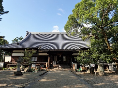 P8255473