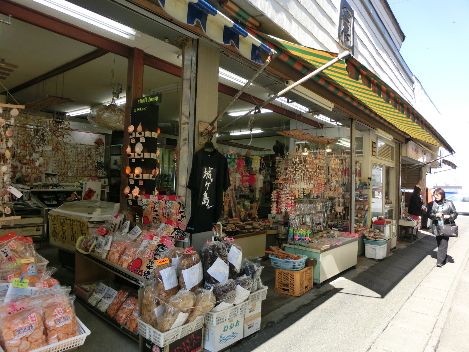 神奈川県 城ケ島で猫を見てきた 国内一人旅ブログ はこいりむすめのいえ