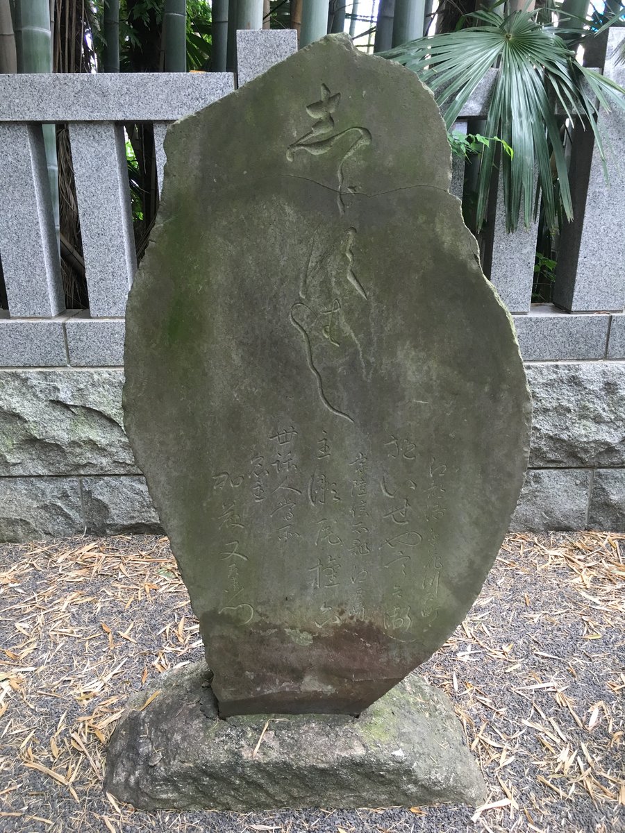 都会の中の異空間 千葉県 八幡の藪知らずに行ってみた 国内一人旅ブログ はこいりむすめのいえ