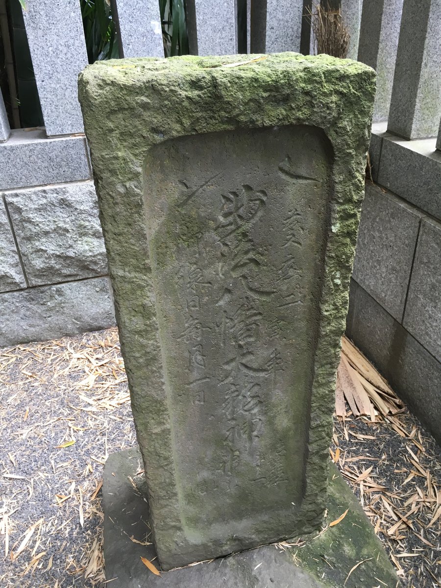 都会の中の異空間 千葉県 八幡の藪知らずに行ってみた 国内一人旅ブログ はこいりむすめのいえ