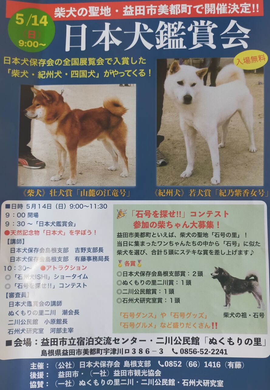 日本犬保存会 会誌 品評会 展覧会 柴犬 日本犬 - 趣味/スポーツ/実用