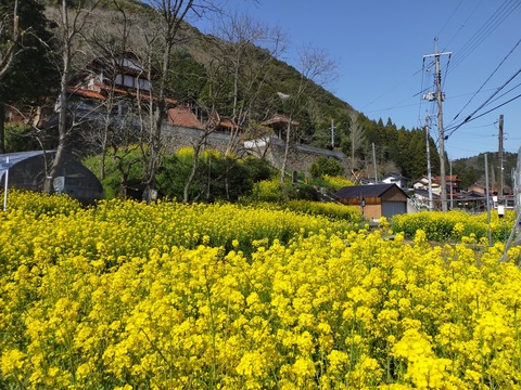 IMG20210318142128