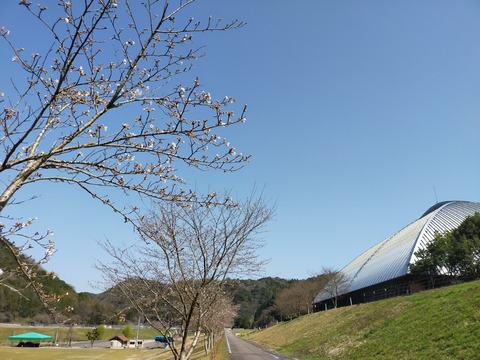 IMG20210318141024