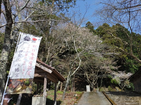 IMG20210318143438