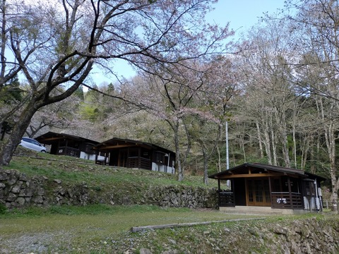 IMG20210402160153