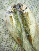 あじ