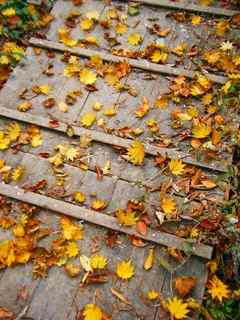 ���ա���ߤ�