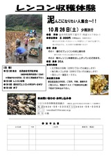 H25度レンコン収穫(チラシ)