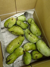 P9300001