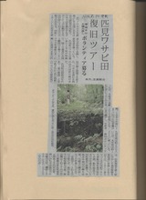 わさび