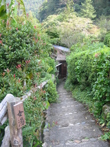 立久恵:階段