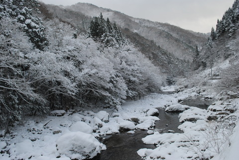 表匹見峡付近の匹見川
