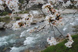 匹見川沿いアップ