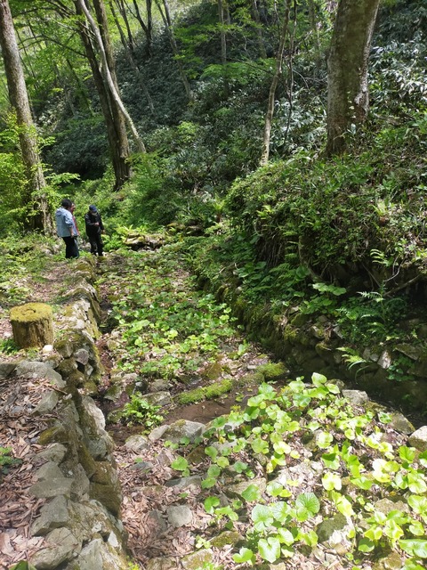 IMG20230501112400