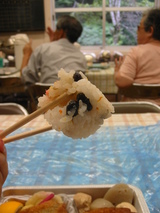 弁当(豆)