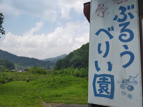 IMG20220727104946