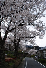 温泉裏