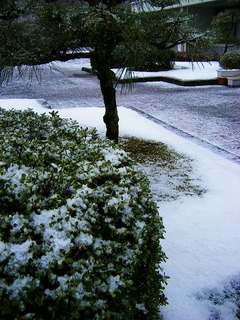 雪
