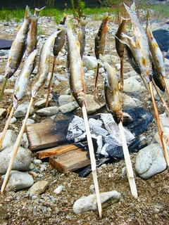 鮎の塩焼き