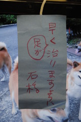 短冊