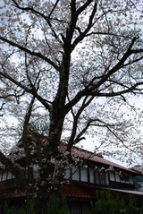 Tさん宅