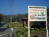 ´ÇÈıó·Ê