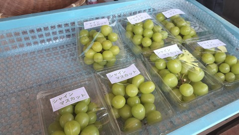 462475005_8735228083195833_6392725835104549830_n