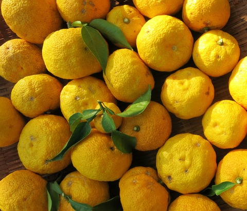 cd0a9b9fb4d18cd80fd965bfa599f77c_l