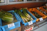02野菜_R