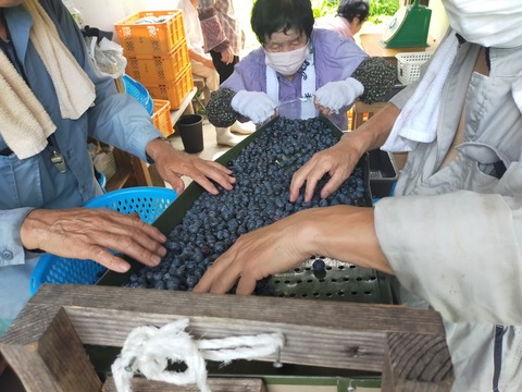 IMG20220727103801