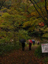 ���ա��Ѹ��ҡ���