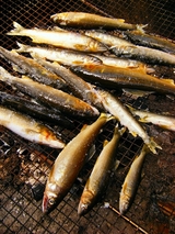 鮎の塩焼き