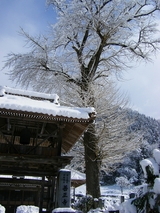 善正寺