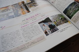 本文
