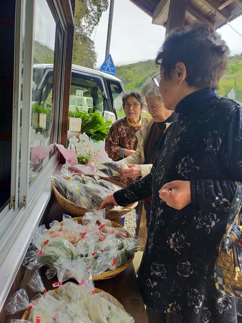 IMG20230415095055