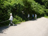 道路脇 支障木の伐採_R