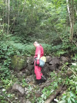 石垣の状況