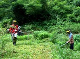 中村草刈