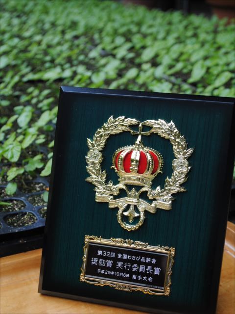 匹見町へ行こう!:籾田久勝さん - livedoor Blog(ブログ)