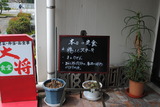 本日の定食