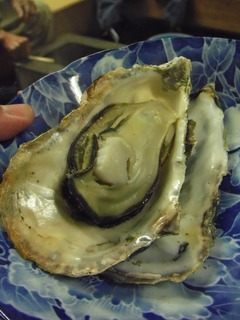 kakidai