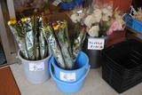 花_R