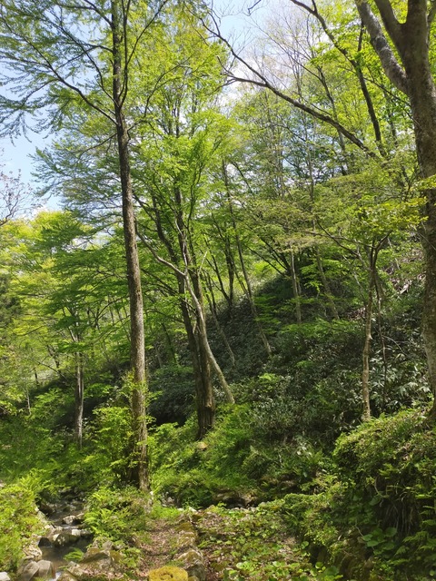 IMG20230501111034