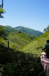 山頂から