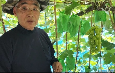 462363434_8735226903195951_4749854744054897599_n