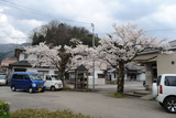 中村医院